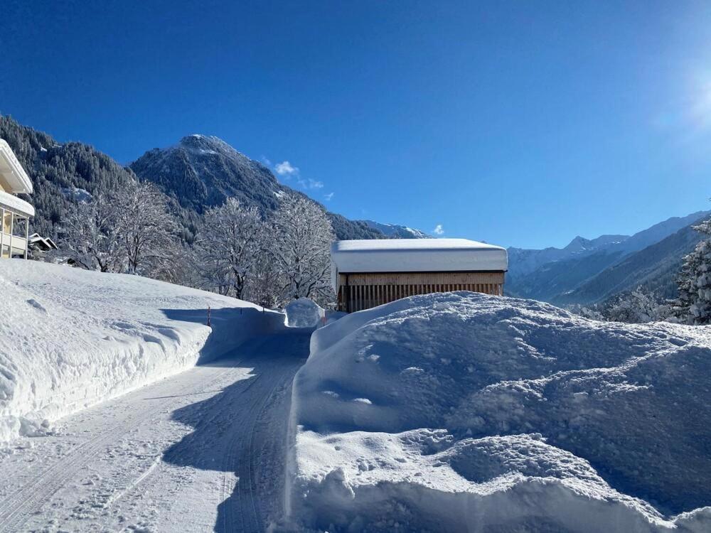 Haus Albuin Apartment Sankt Gallenkirch Exterior photo